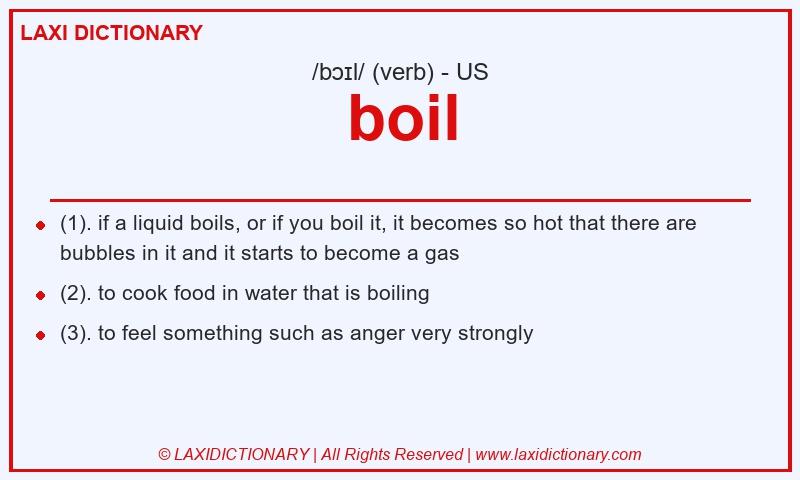 Definition boil in American English