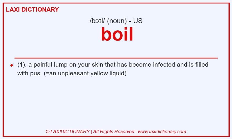 Definition boil in American English