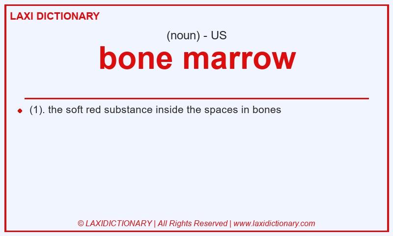 Definition bone marrow in American English