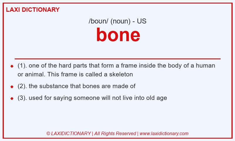 Definition bone in American English