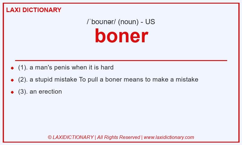 Definition boner in American English