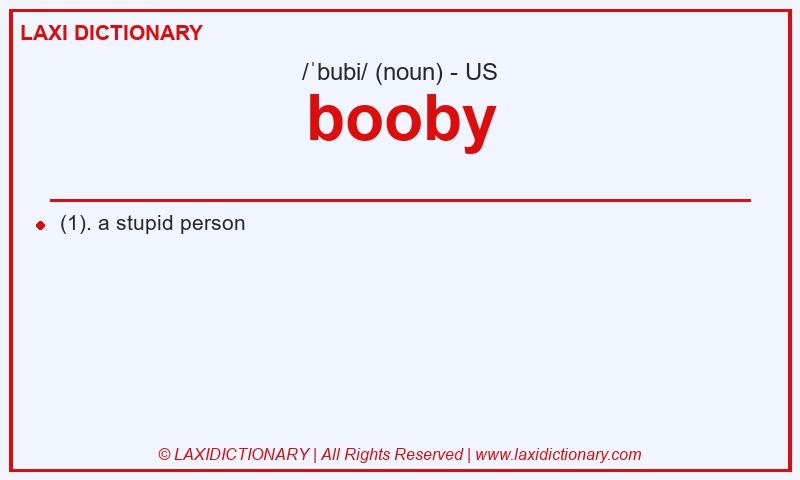 Definition booby in American English