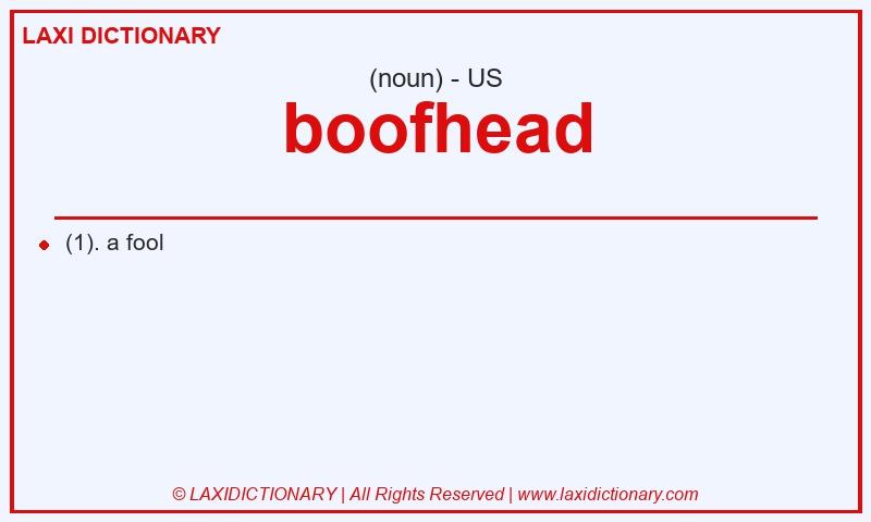 Definition boofhead in American English