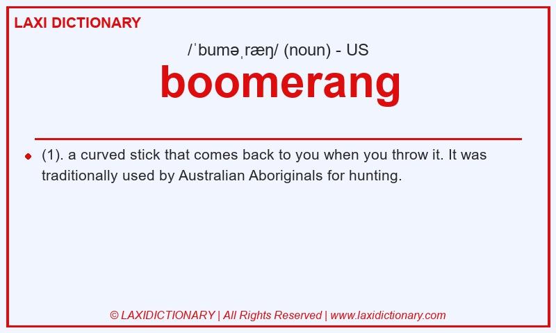 Definition boomerang in American English