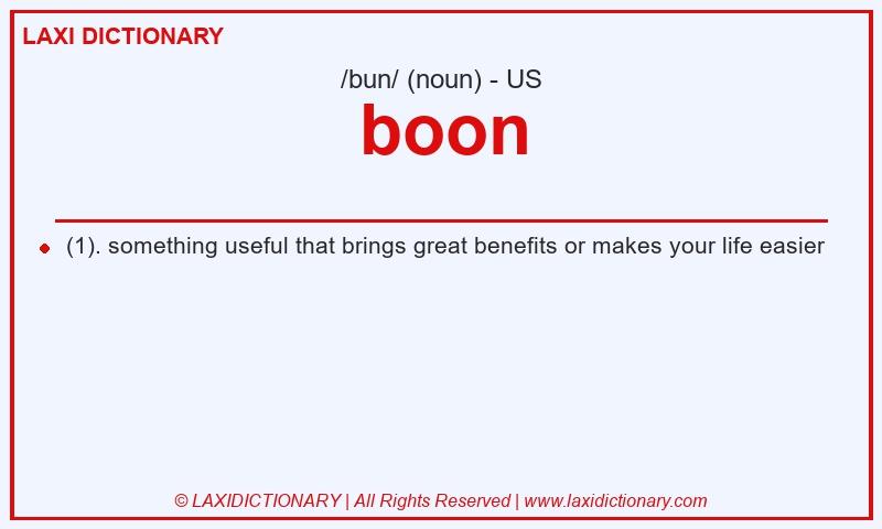 Definition boon in American English