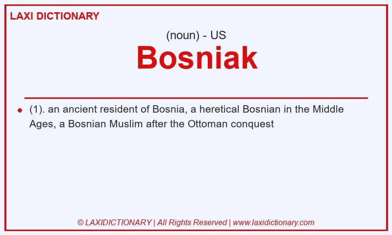 Definition Bosniak in American English