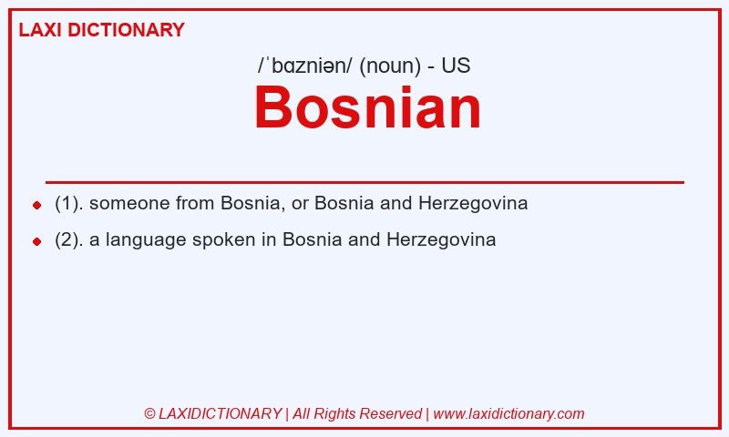 Definition Bosnian in American English