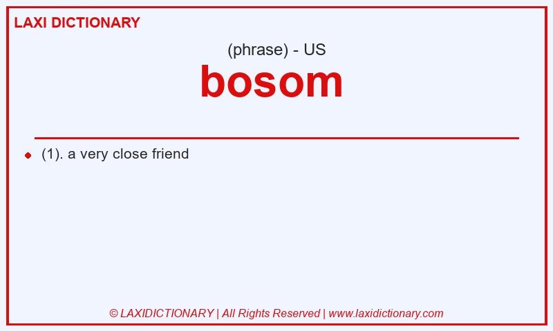 Definition bosom  in American English