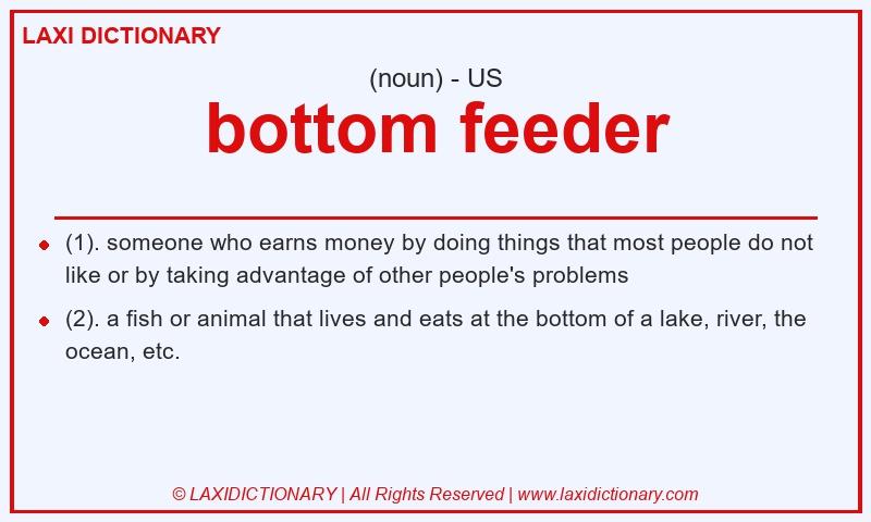 Definition bottom feeder in American English