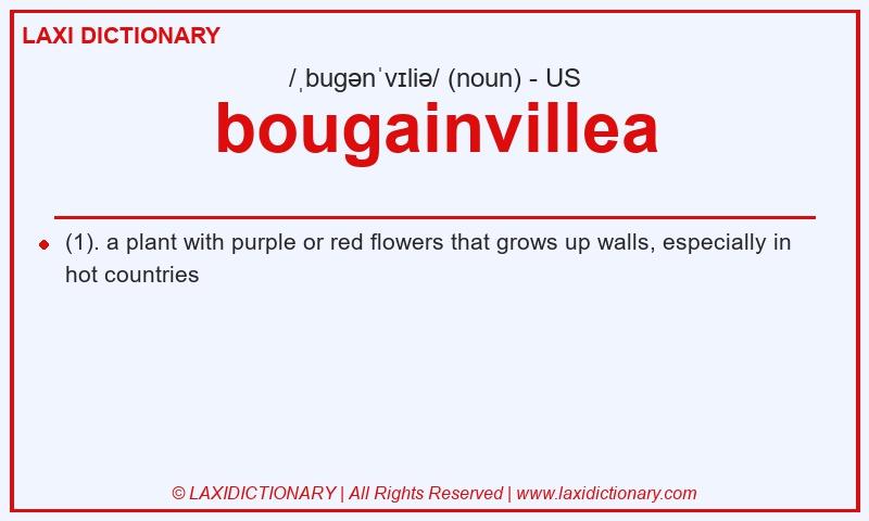 Definition bougainvillea in American English