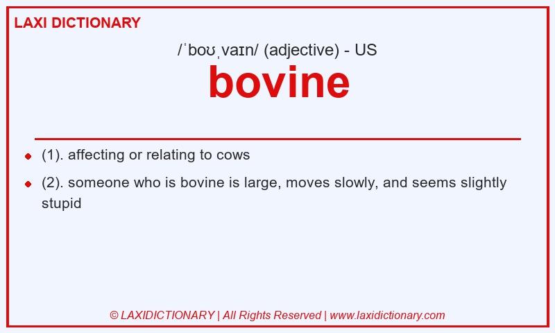 Definition bovine in American English