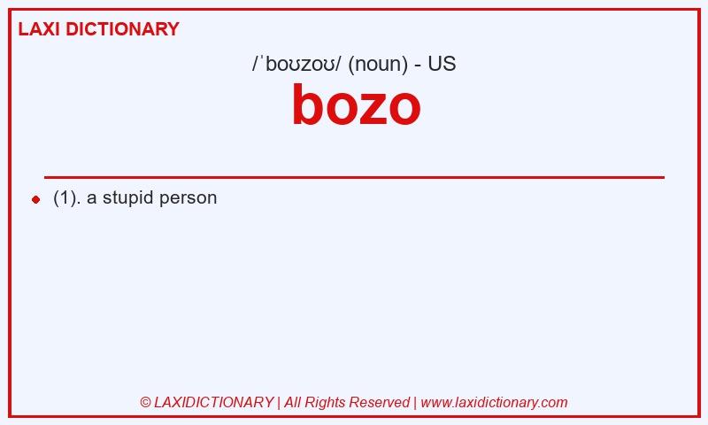Definition bozo in American English