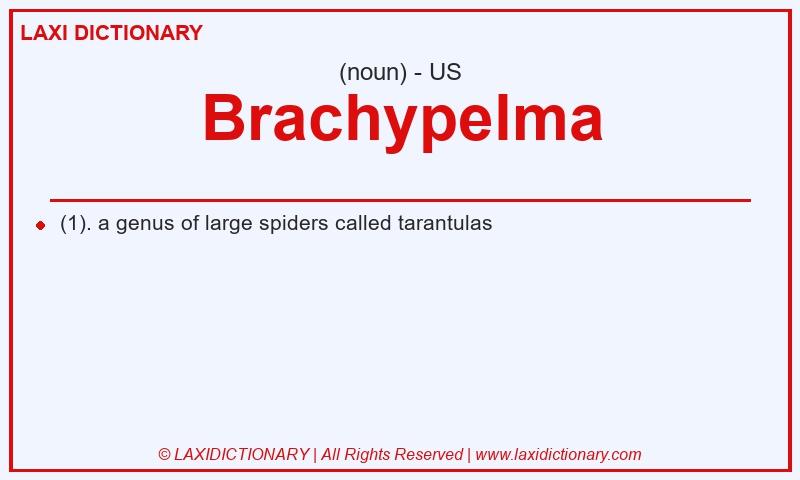 Definition Brachypelma in American English