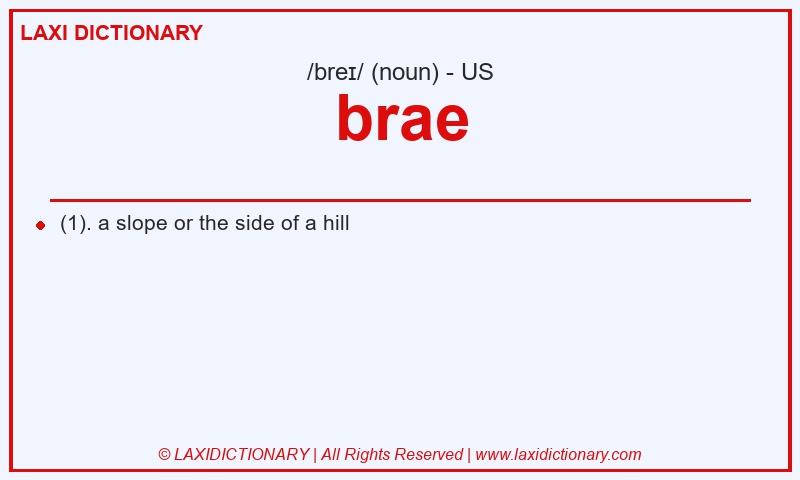 Definition brae in American English