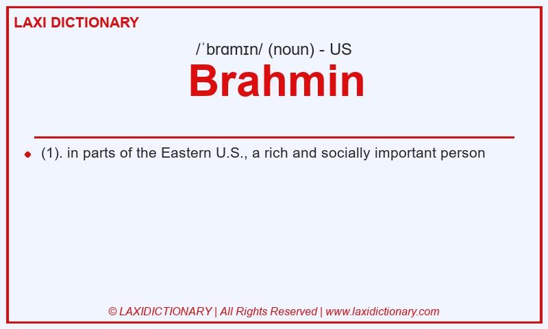 Definition Brahmin in American English
