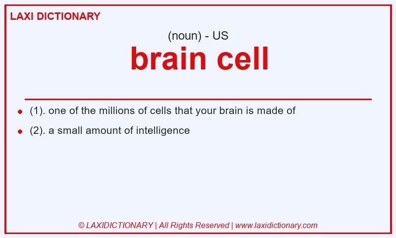 Definition brain cell in American English