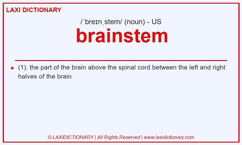 Definition brainstem in American English