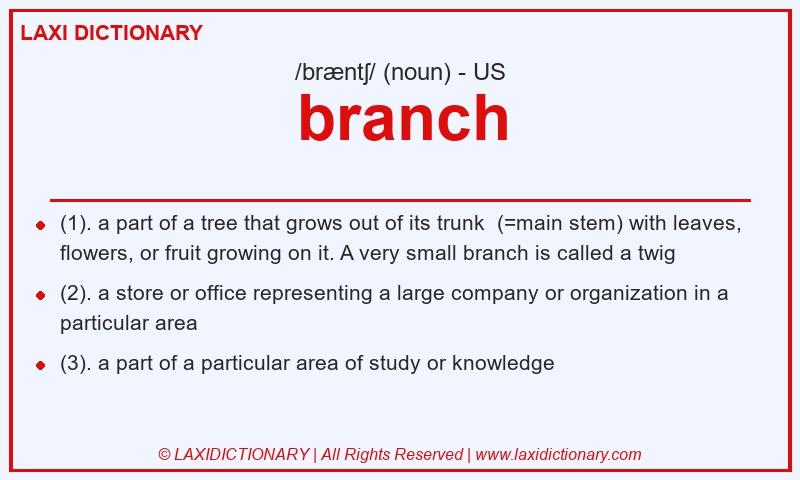Definition branch in American English