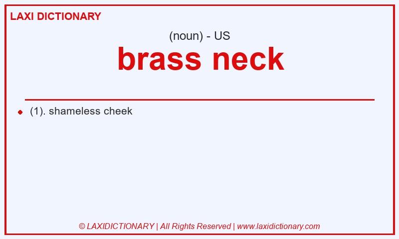 Definition brass neck in American English