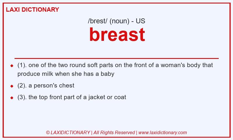 Definition breast in American English