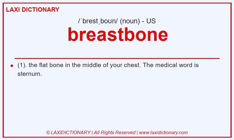 Definition breastbone in American English