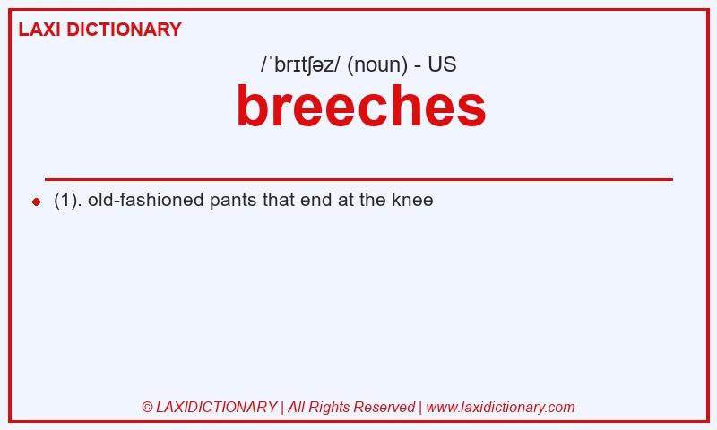 Definition breeches in American English