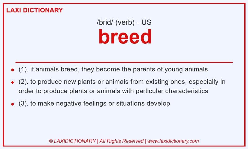 Definition breed in American English