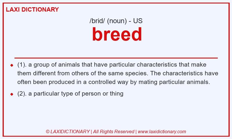 Definition breed in American English