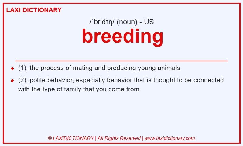 Definition breeding in American English