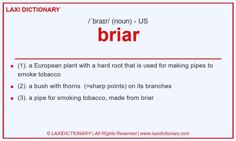 Definition briar in American English