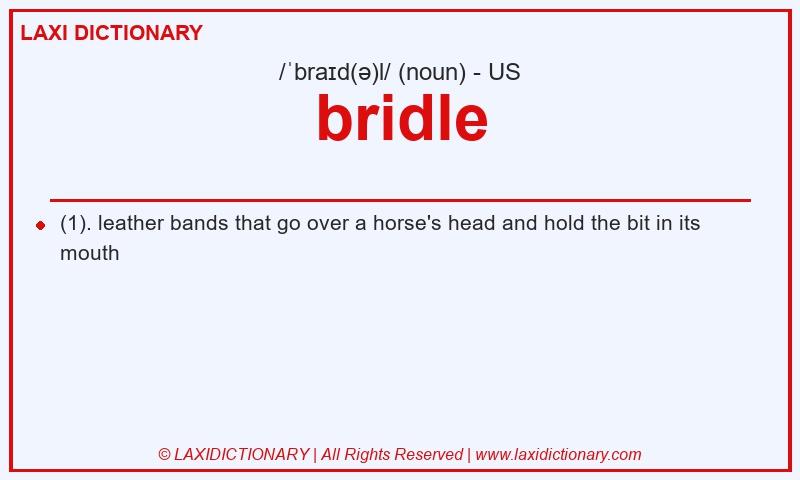 Definition bridle in American English