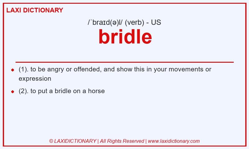 Definition bridle in American English