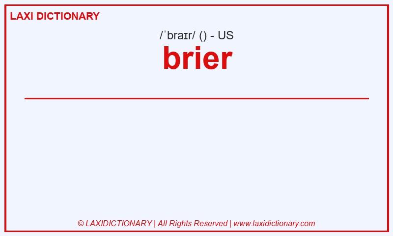 Definition brier in American English