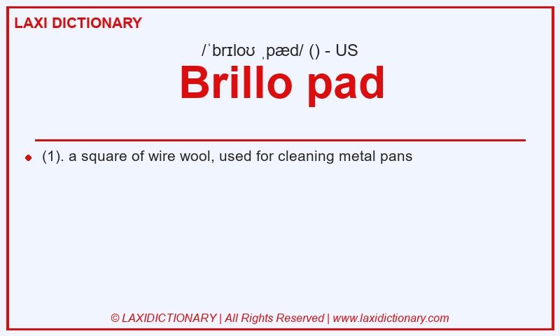 Definition Brillo pad in American English