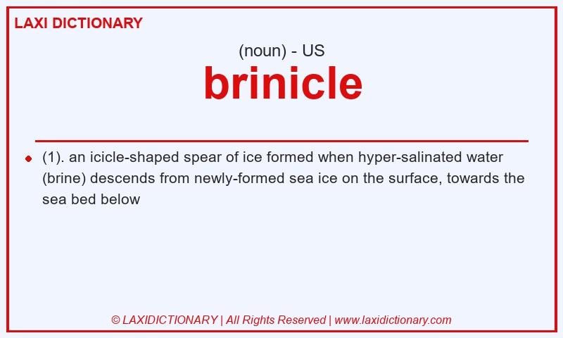Definition brinicle in American English