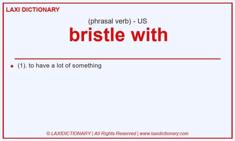 Definition bristle with in American English