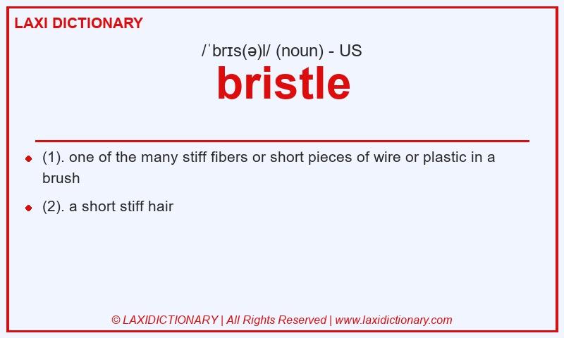 Definition bristle in American English