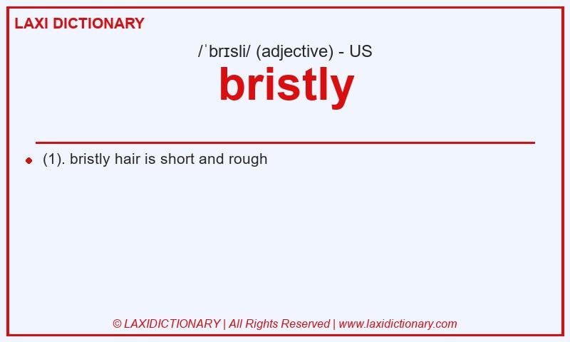Definition bristly in American English