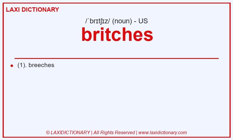 Definition britches in American English