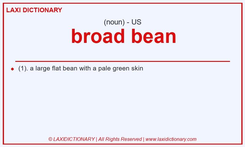 Definition broad bean in American English
