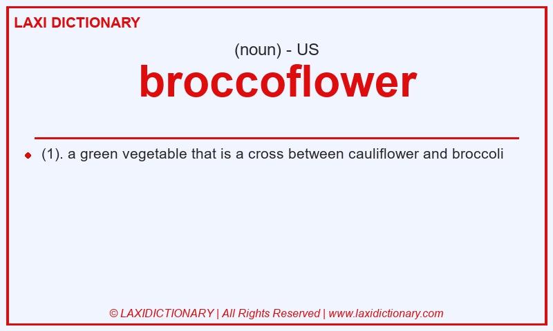 Definition broccoflower in American English