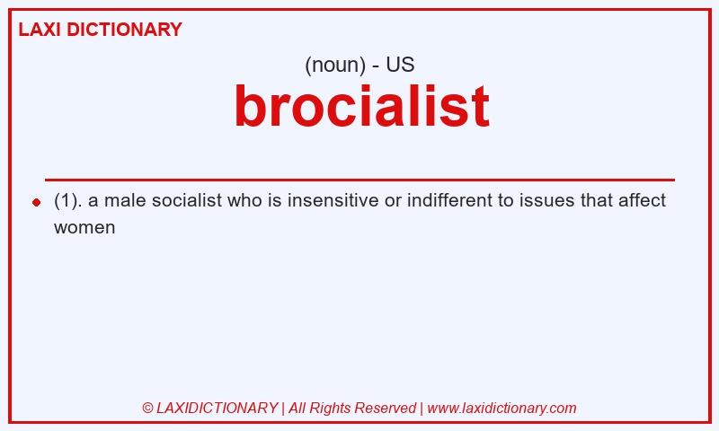 Definition brocialist in American English
