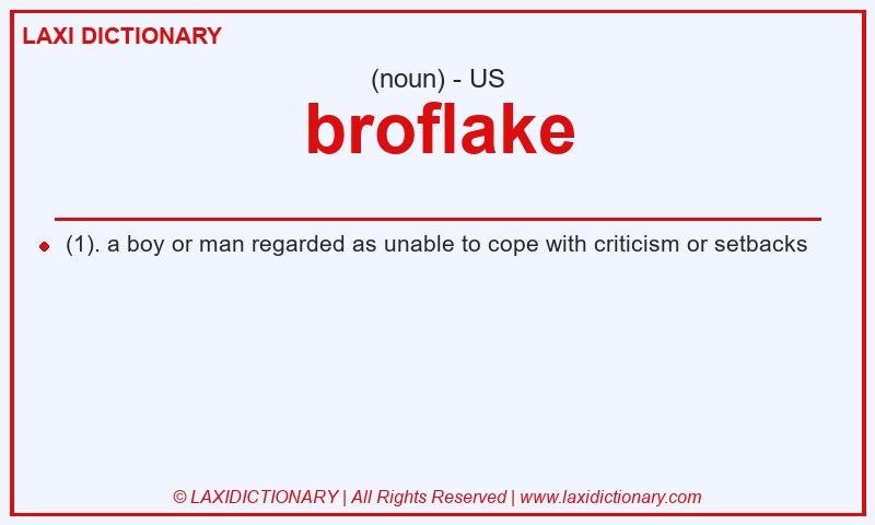 Definition broflake in American English