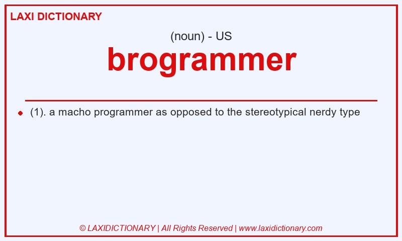 Definition brogrammer in American English