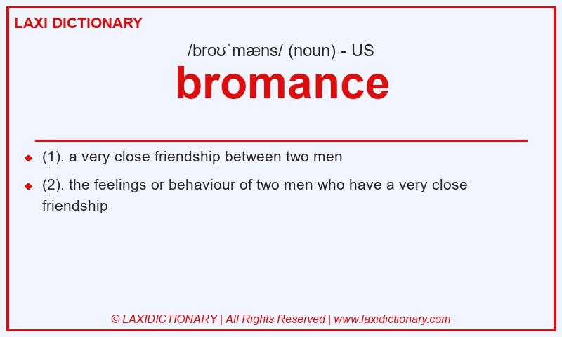 Definition bromance in American English