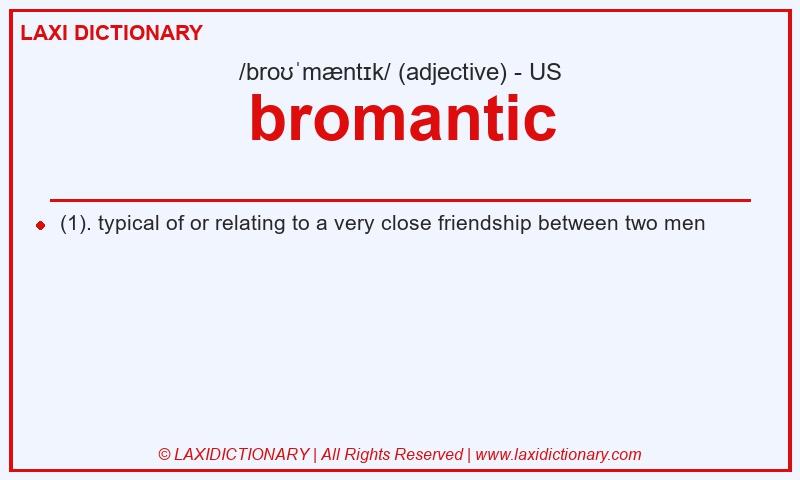 Definition bromantic in American English