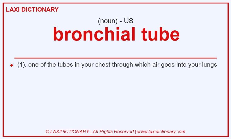 Definition bronchial tube in American English