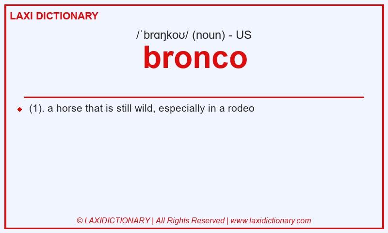Definition bronco in American English