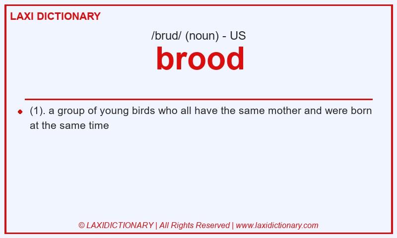 Definition brood in American English
