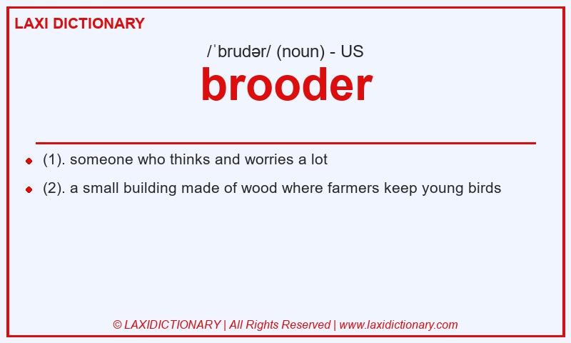 Definition brooder in American English